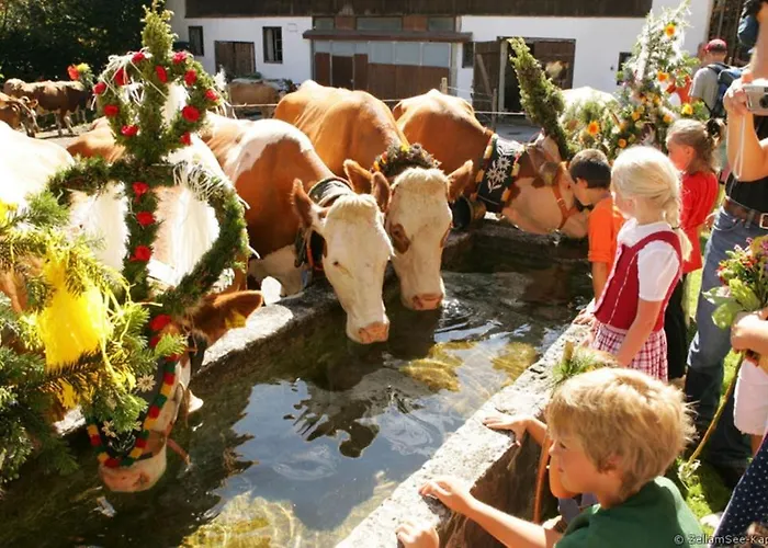Charlotte Fusch an der Grossglocknerstrasse